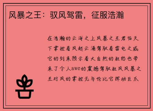 风暴之王：驭风驾雷，征服浩瀚
